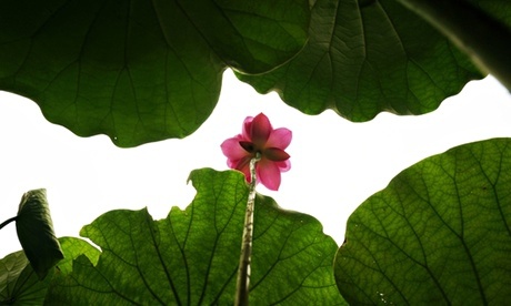 The reasons why some business leaders create global injustice