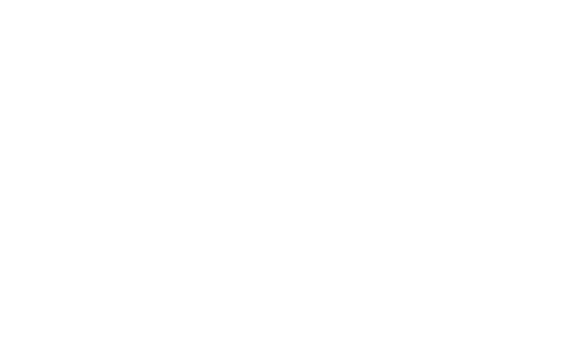 RISE Logo